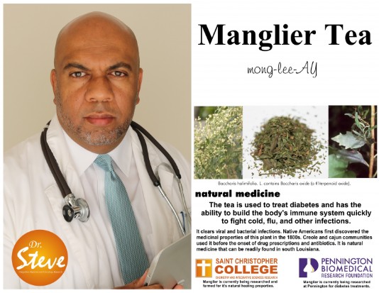Manglier Tea with Dr. Steve